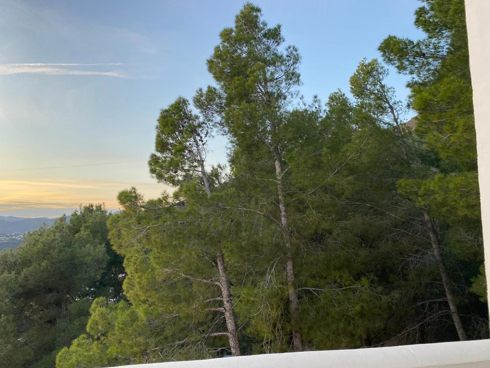 Precioso Apartamento Mandarinos Con Vistas Al Mar Nerja Zewnętrze zdjęcie